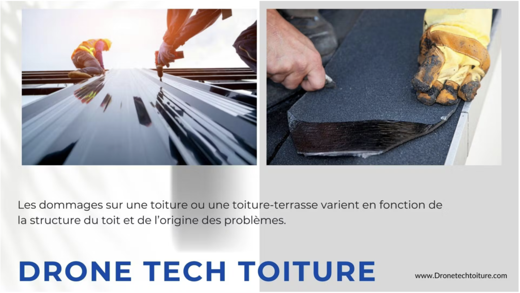 professionnels en train de travailler 